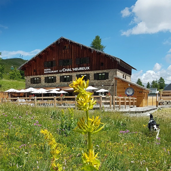 chalet été chalet été